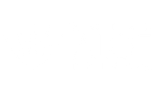logo Hotel Aloe Emira